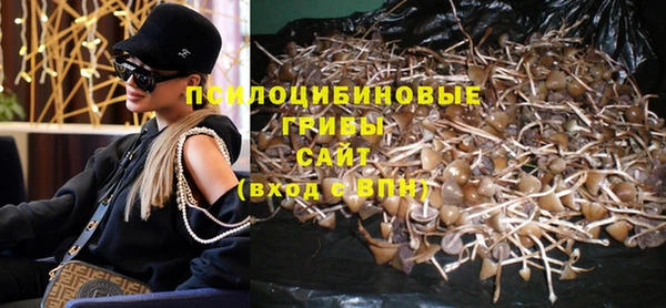 стафф Кинешма