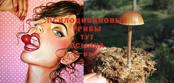 стаф Алексин