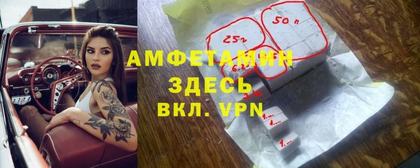 стаф Алексин