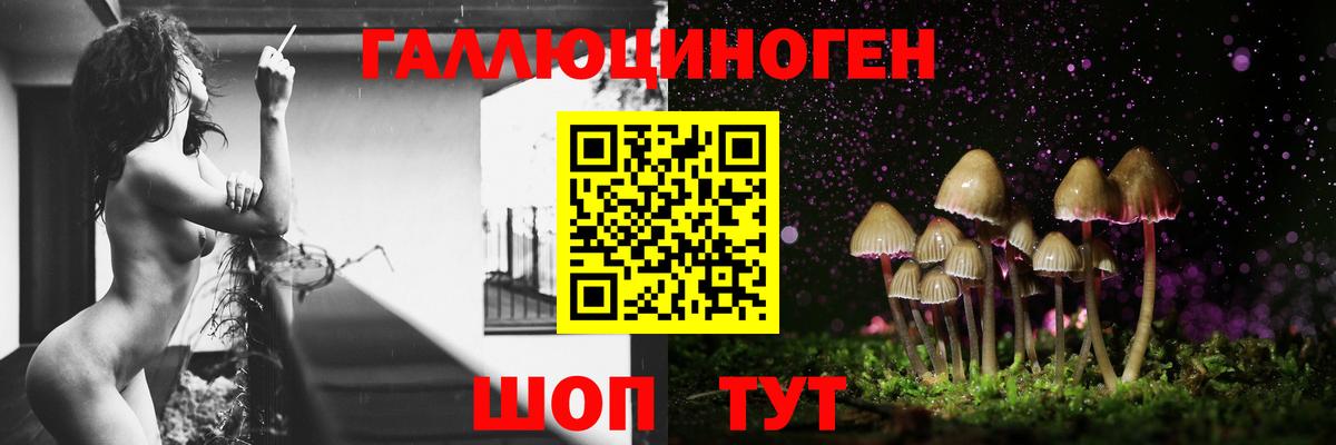 Галлюциногенные грибы Cubensis Родники